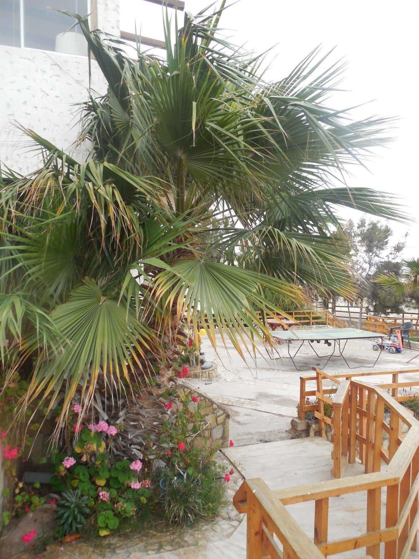 Hotel & Cabanas El Mirador Caldera Exterior foto